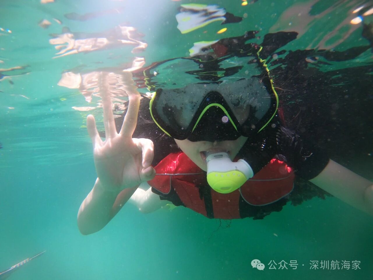 浮潜体验