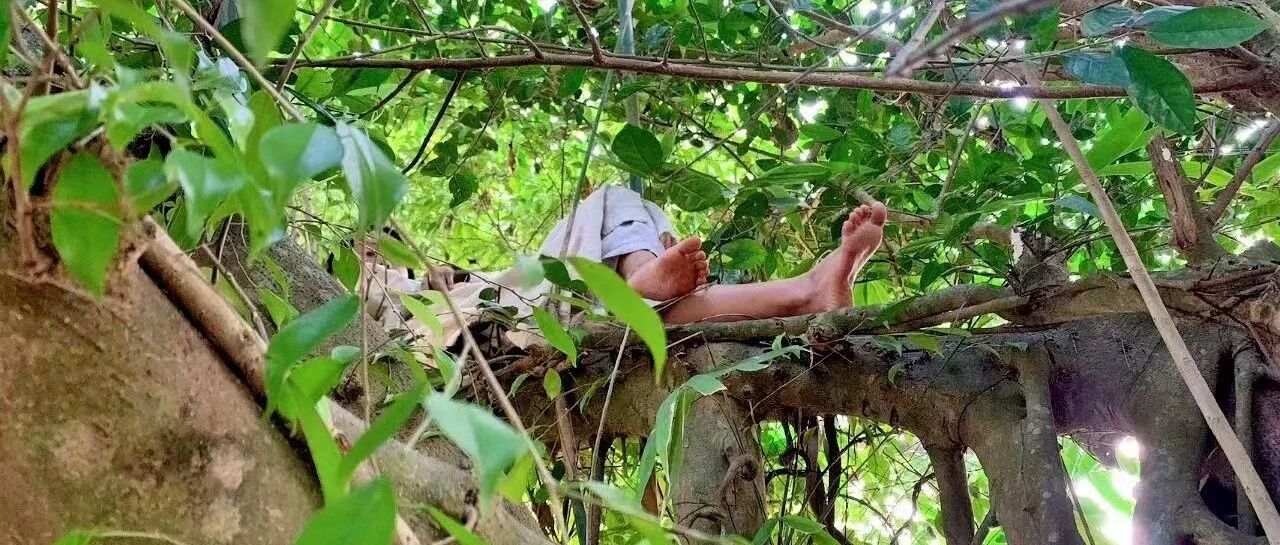 雨林中的孩子