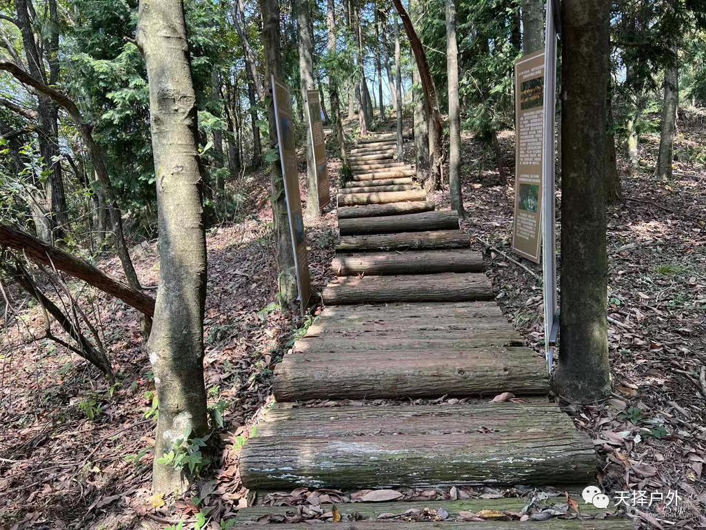 海岸徒步