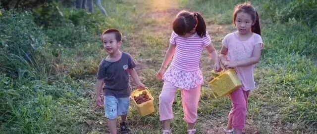 孩子在户外环境中学习